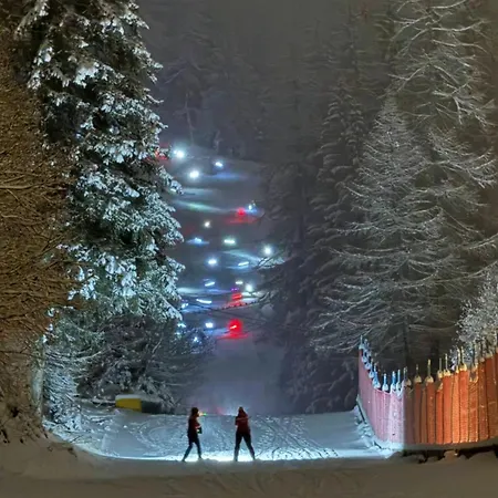 Apartmán Charming Pool, Spa, Sauna, Cir Vda - Ayas - 0005- Champoluc