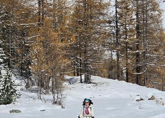 Charming Pool, Spa, Sauna, Cir Vda - Ayas - 0005- Appartement